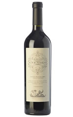 Gran Enemigo Gualtallary Single Vineyard Cabernet Franc