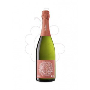 Guilera Agosarat Gran Reserva Brut Nature