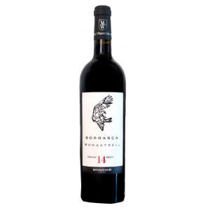 Borrasca Tinto