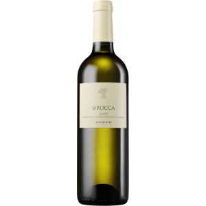 Coppo Gavi la Rocca