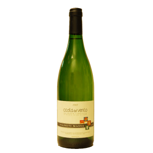 Vigneti Massa Colli Tortonesi Timorasso Costa del Vento