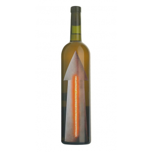 Giotto Bini Zibibbo Serragghia 19 Mesi Macerazione
