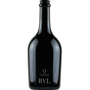 Quartomoro Memorie di Vite Bvl
