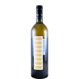 Scala Coeli Alvarinho Branco