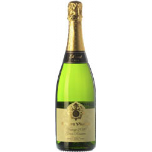 Segura Viudas Brut Vintage