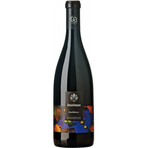 Gesellmann Blaufränkisch Hochberc Mittelburgenland