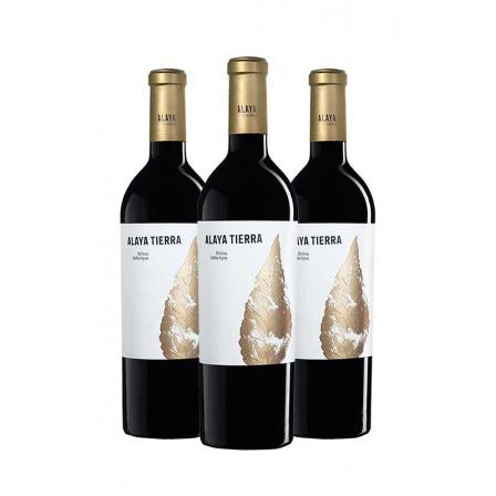 3 X Alaya Tierra