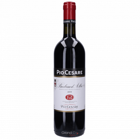 Pio Cesare Barbera D&#039;alba