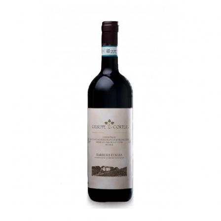 Giuseppe Cortese Barbera d'Alba