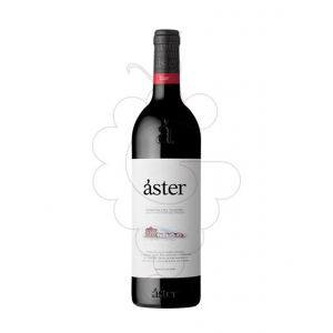 Aster Crianza Magnum