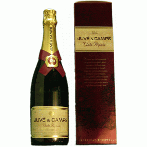 Juvé y Camps Cinta Púrpura Brut Estuche